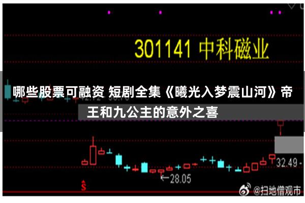 哪些股票可融资 短剧全集《曦光入梦震山河》帝王和九公主的意外之喜