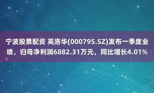 宁波股票配资 英洛华(000795.SZ)发布一季度业绩，归母净利润6882.31万元，同比增长4.01%