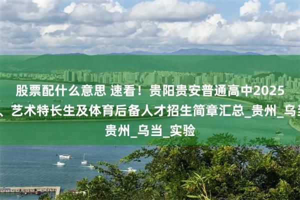 股票配什么意思 速看！贵阳贵安普通高中2025年体育、艺术特长生及体育后备人才招生简章汇总_贵州_乌当_实验