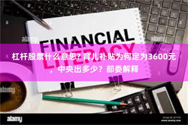 杠杆股票什么意思? 育儿补贴为何定为3600元，中央出多少？部委解释