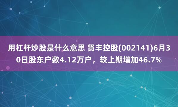 用杠杆炒股是什么意思 贤丰控股(002141)6月30日股东户数4.12万户，较上期增加46.7%