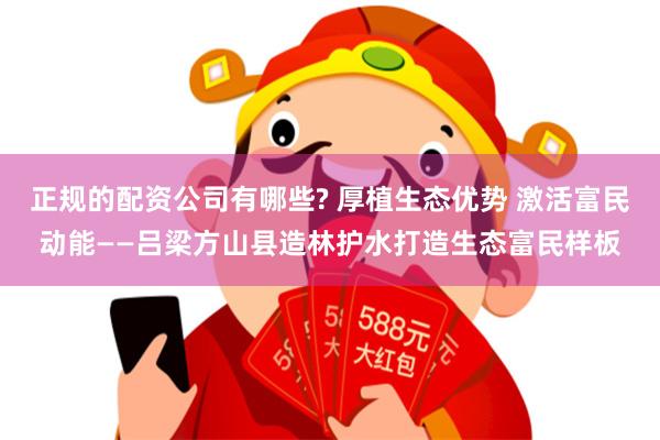 正规的配资公司有哪些? 厚植生态优势 激活富民动能——吕梁方山县造林护水打造生态富民样板